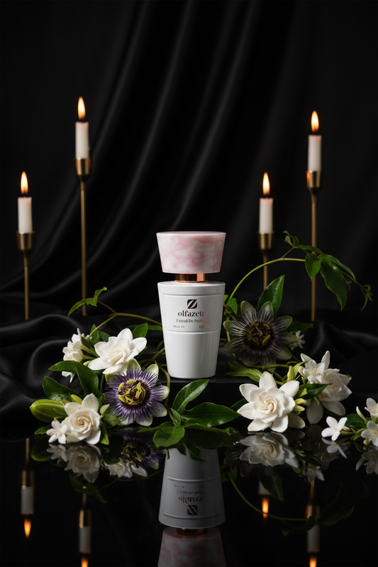 Magnetic – Nocturnal Sophisticated